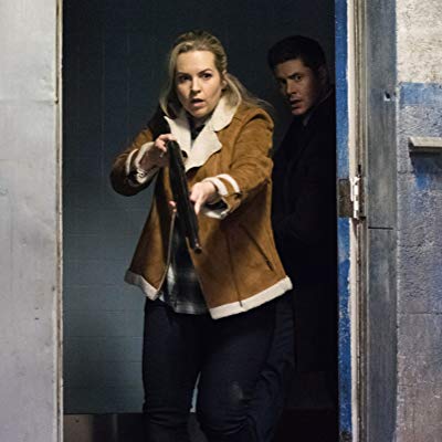 Sheriff Donna Hanscum, Donna Hanscum