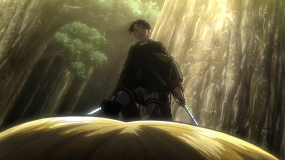 Levi