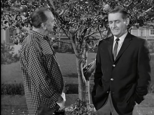 Alan Young