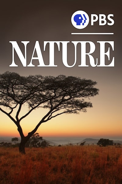 Nature - Season 42