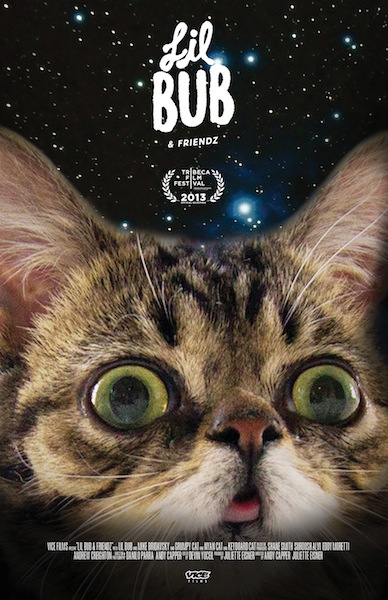Lil Bub