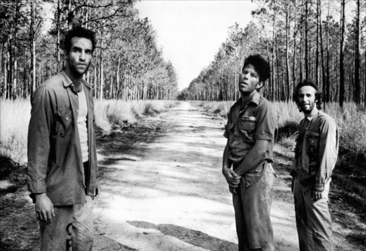 John Lurie