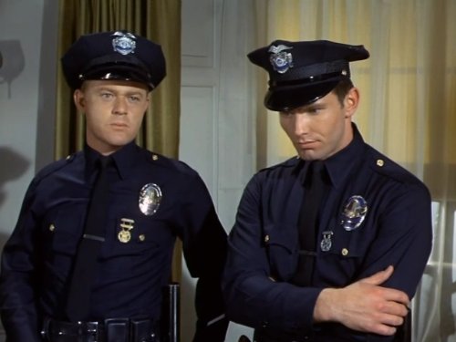Martin Milner