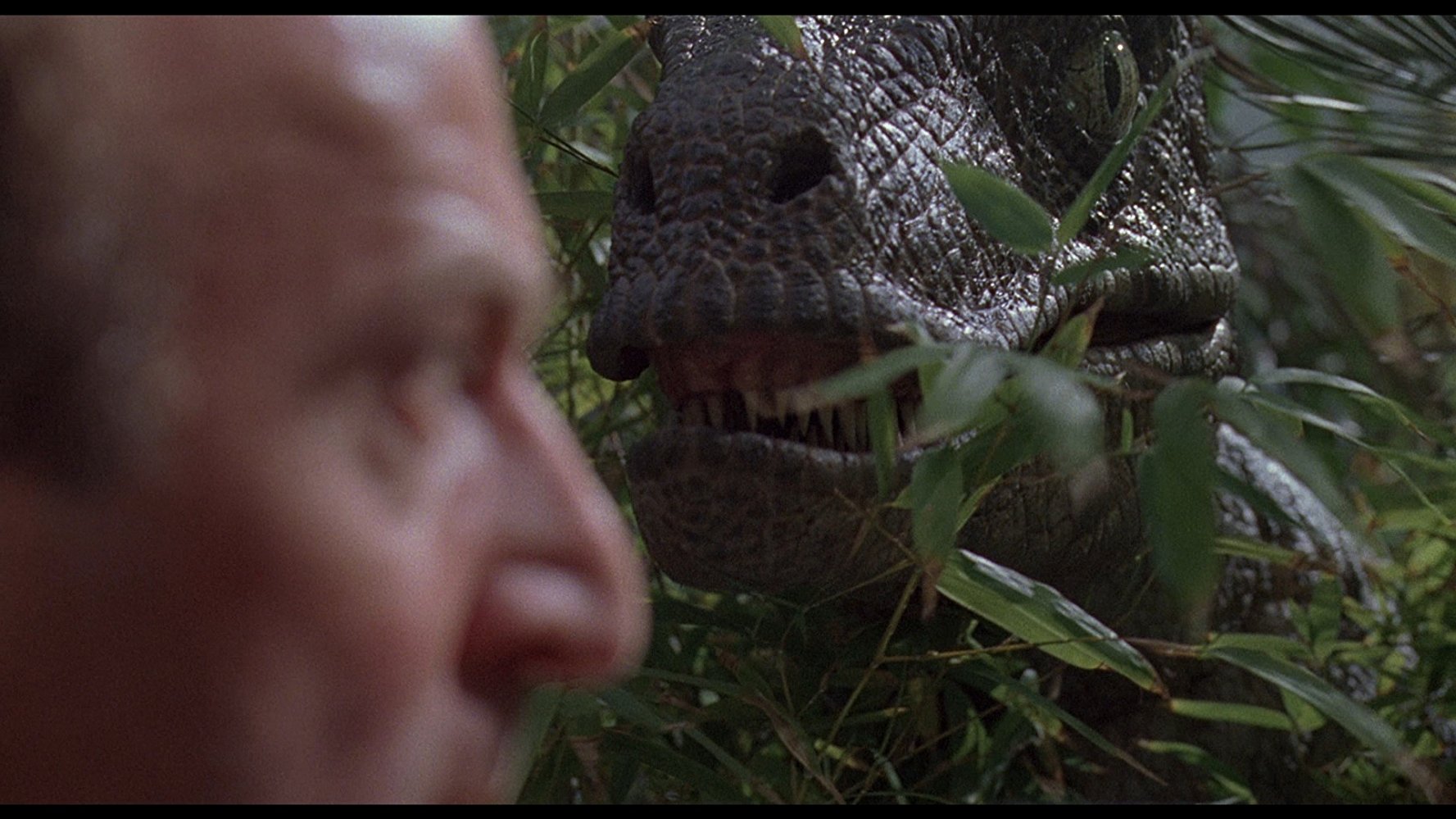 Robert Muldoon