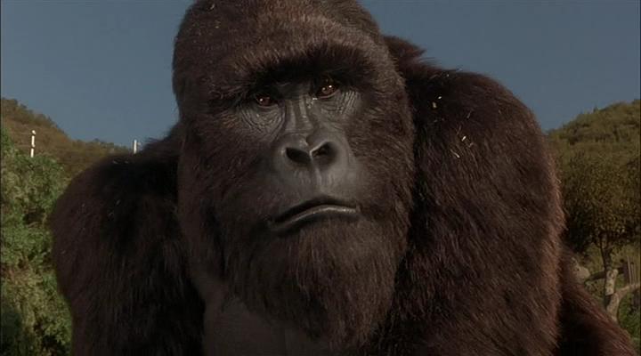 Mighty Joe Young