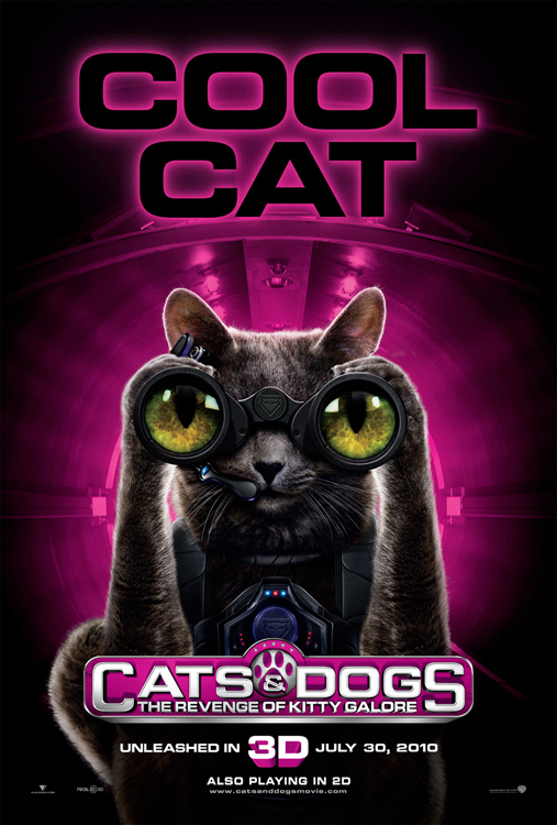 Cool Cat