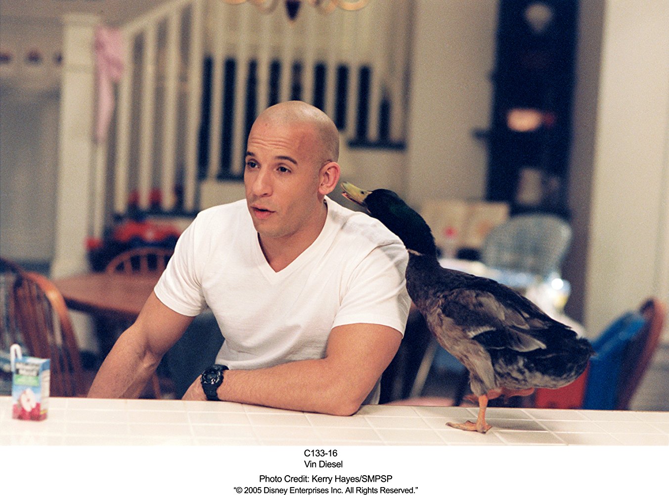 Shane Wolfe