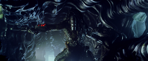 Ian Whyte