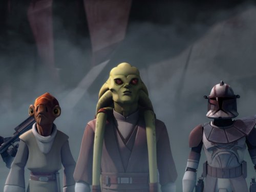 Kit Fisto