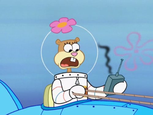 Sandy Cheeks