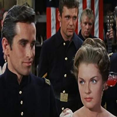 Tracey Hamilton