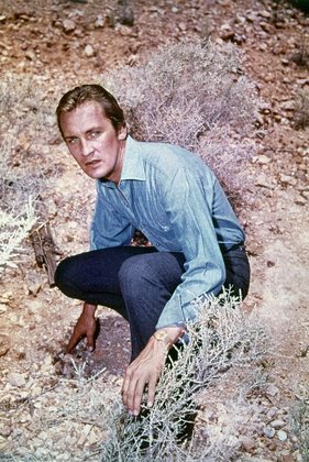 Roy Thinnes