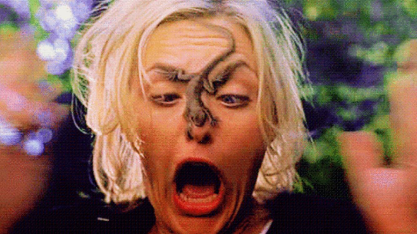 Meredith Blake