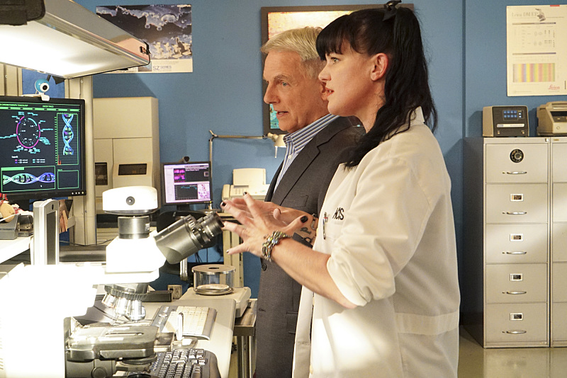 Pauley Perrette