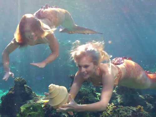 Lucy Fry