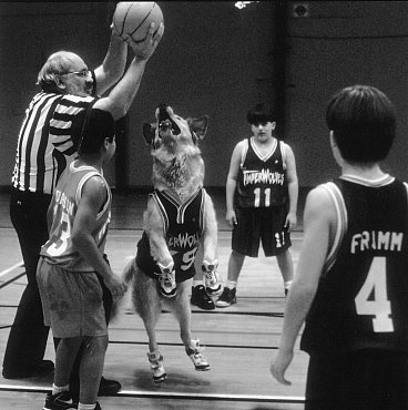 Referee 1