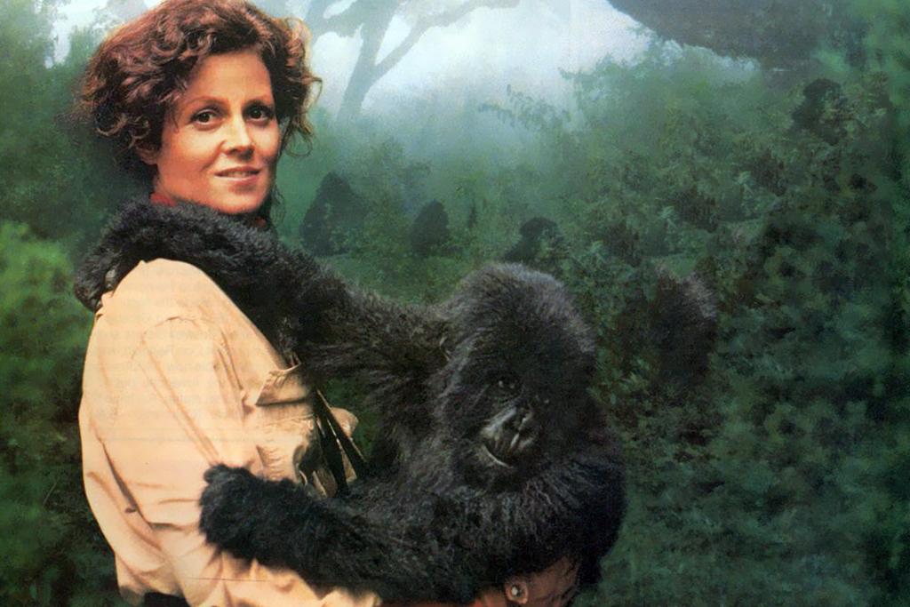 Dian Fossey