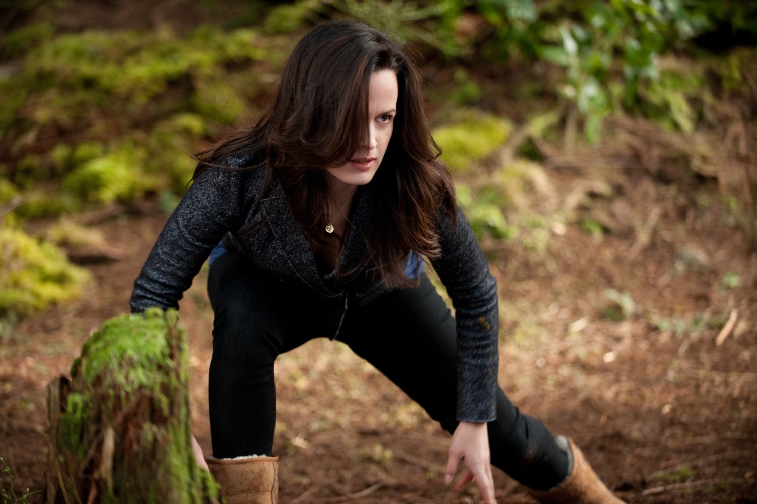 Elizabeth Reaser