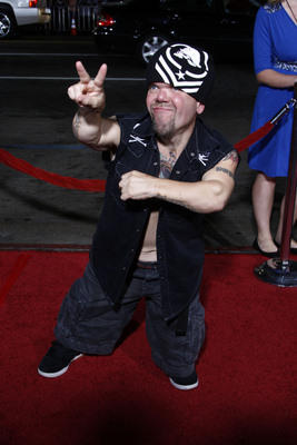 Stevie Lee