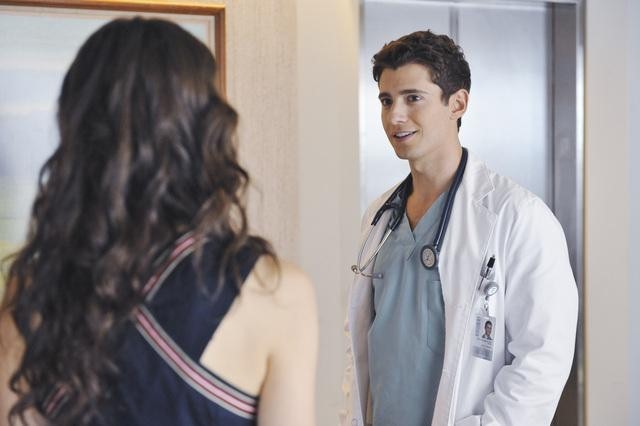 Wren Kingston
