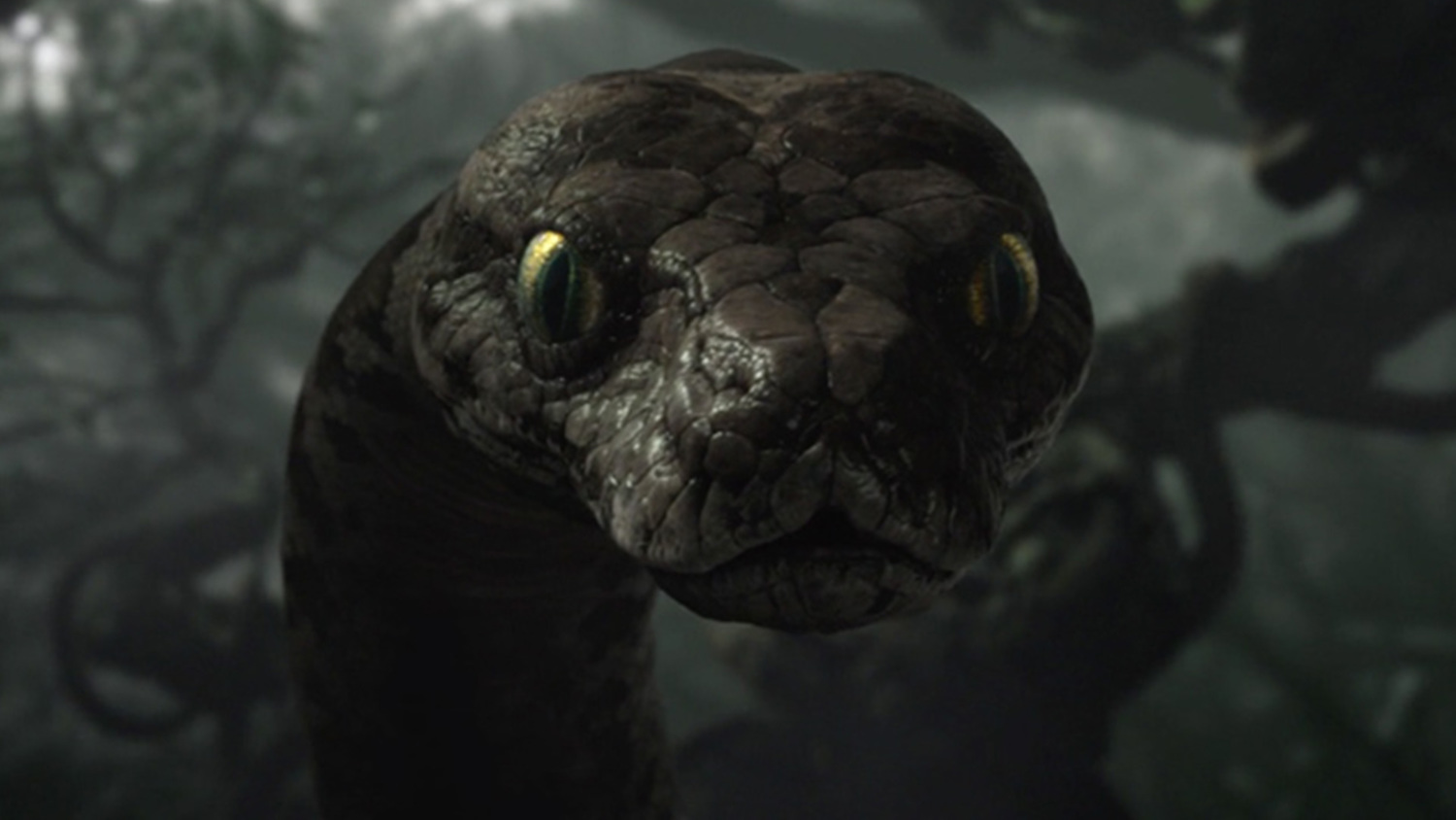 Kaa