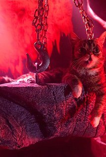 Lil Bub